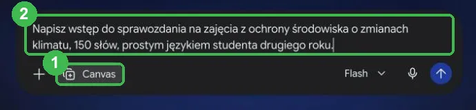 Pole pytania z plakietką Canvas i poleceniem o wstęp do sprawozdania