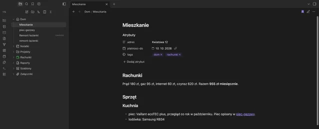 Iconize — okładka