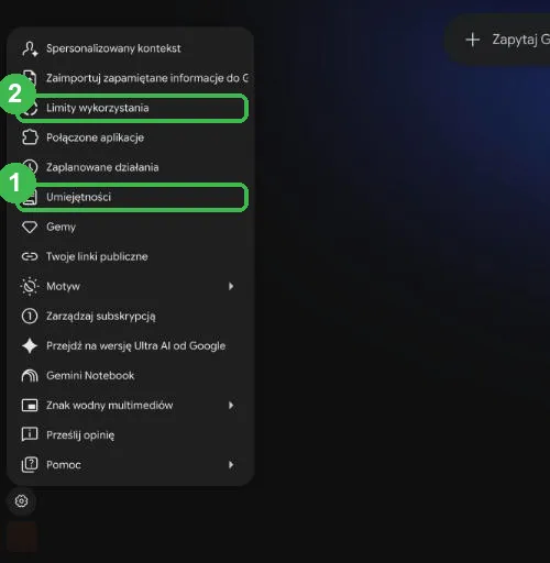 Menu ustawień Gemini z zaznaczonymi pozycjami Umiejętności i Limity wykorzystania