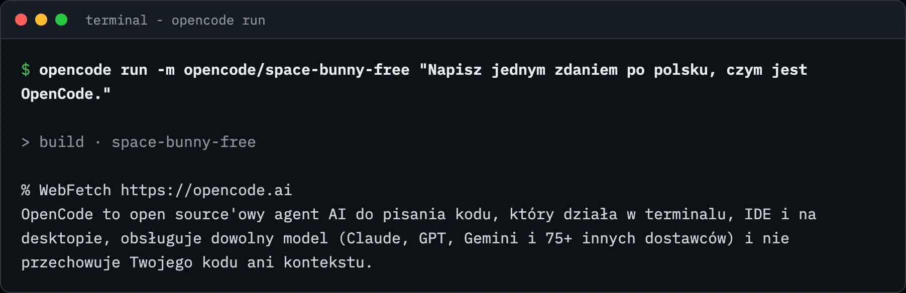 Terminal: Space Bunny odpowiada po polsku bez konta i klucza API