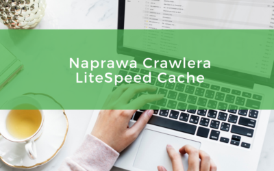 Naprawa Crawlera LiteSpeed Cache w WordPress